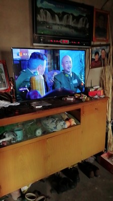 说下知道VIDAA43V1A与长虹43D5S哪款值得入手?比较一下差别大不大