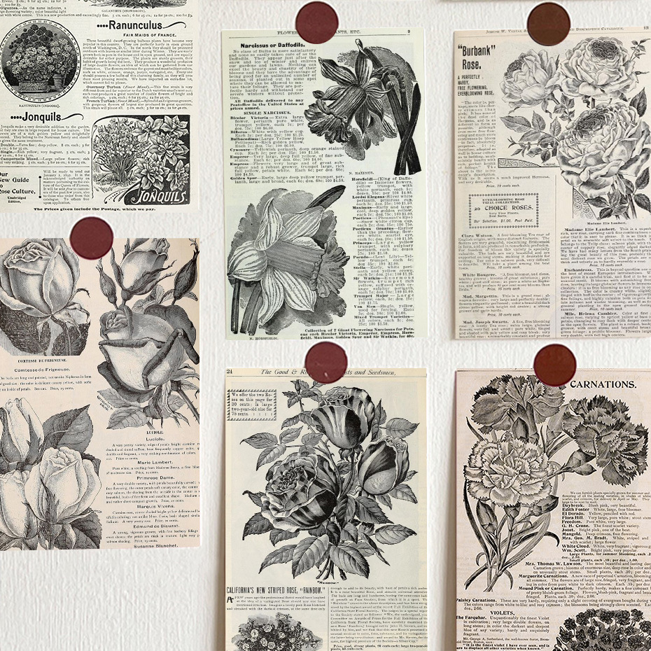 明信片复古英文花卉卡片留言卡片