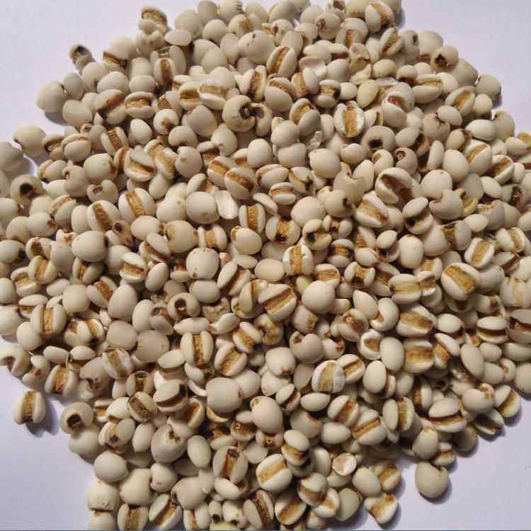 徽信远薏米仁小薏仁薏苡仁薏米仁中药材薏苡仁中药材薏苡仁粉