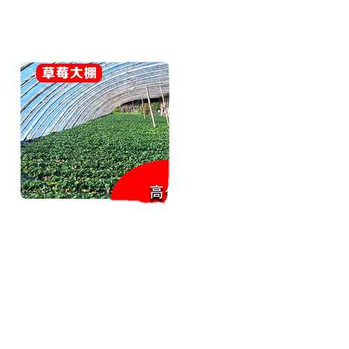 塑料布纸封透明防雨膜膜防尘窗加厚养殖塑料大棚膜防水保温棚种植