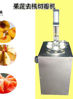 转去盘ABF西红式柿切瓣机工业不商锈钢黄桃去核机用杏子核机