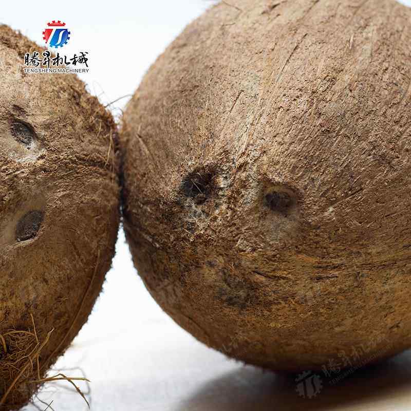 新款电动椰子剥壳去皮机 椰子去皮机 海边椰皇加工 厂家直销