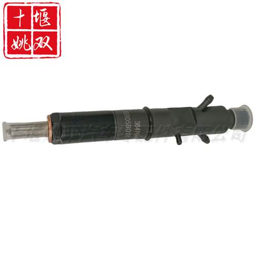 3647040 适用工程机械发动机燃油高压共轨喷油器总成 LJBB05901B