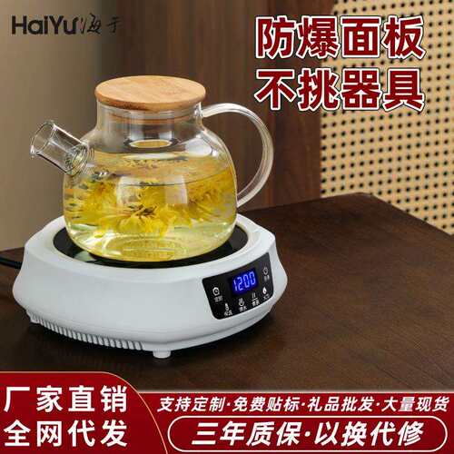 电陶炉煮茶小型煮茶器2024新款家用烧水养生壶泡茶炉1500W电热炉