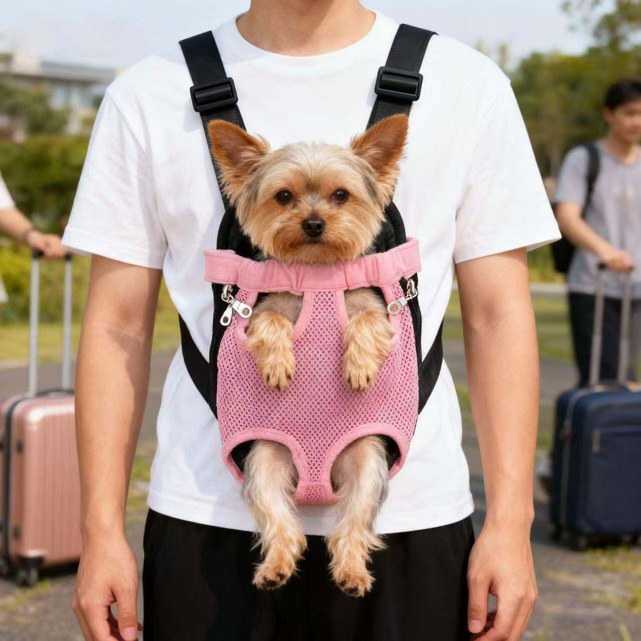 猫包胸前包宠物外出便携猫咪背包夏季透气猫背包小狗出行双肩包 - 实物图