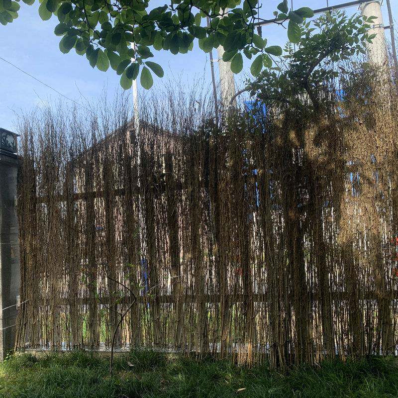 工庭院园艺竹栅栏隔户外断子防护栏围墙院手子竹竹竹栅栏篱笆