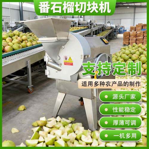 大型多功能番石榴切片机 不锈钢水果切片切丝机 商用水果切片设备