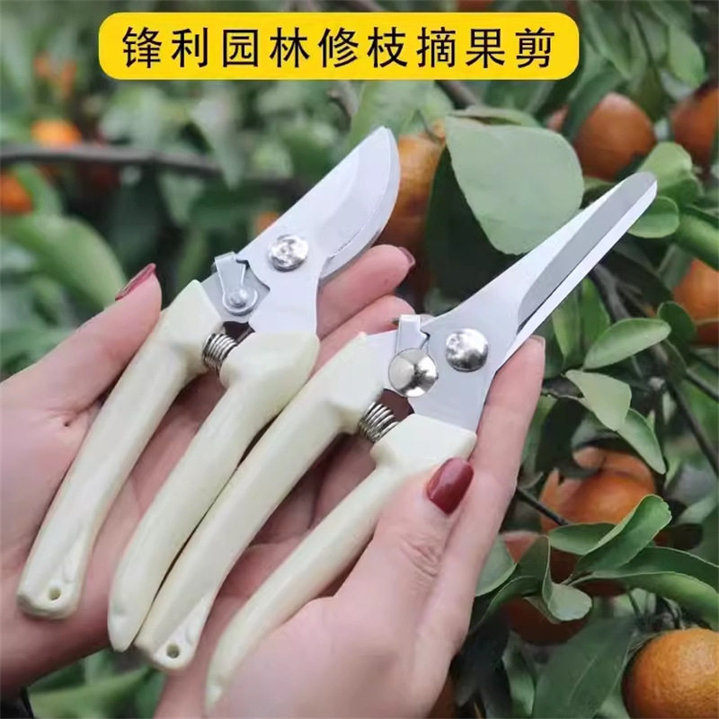 不锈钢树枝修枝采摘园艺用品套装
