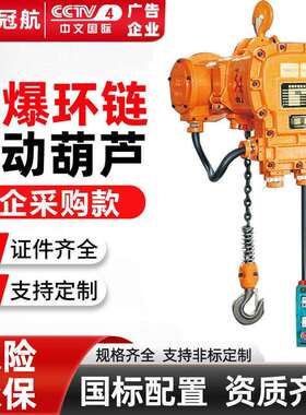 防爆环链电动葫芦380V无线遥控超低空单双速CT4BT4防爆起重吊机