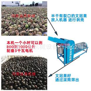 新款文冠果脱壳机文官果木瓜龙果龙瓜剥壳取籽加工设备滚筒式去皮