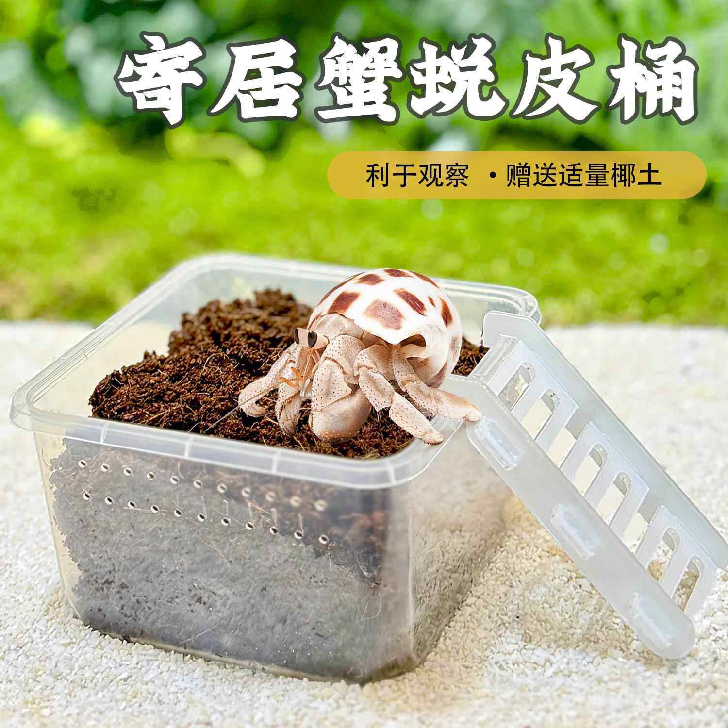 寄居蟹蜕皮桶套装迷你隔离盒攀爬梯子椰土辅加高防打扰助脱皮缸,宠物/宠物食品及用品,爬宠躲避/造景,淘宝优惠券,粉丝福利购,淘宝优惠卷