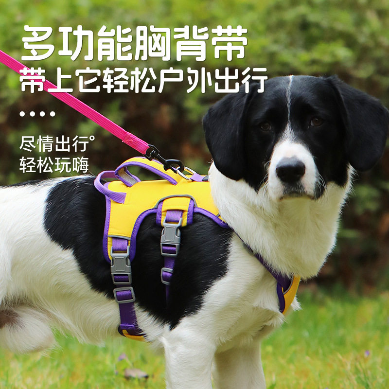 狗狗挣脱牵引背心宠物狗牵引绳