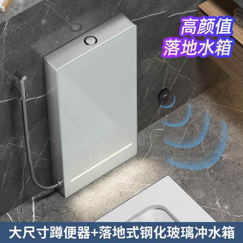 落地水箱大便器智能落地冲水箱带感应灯光脚感冲水卫生间蹲坑陶瓷