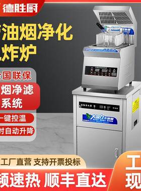 德胜厨商用自动升降电炸炉油烟净化双缸油炸锅商用大容量油炸炉