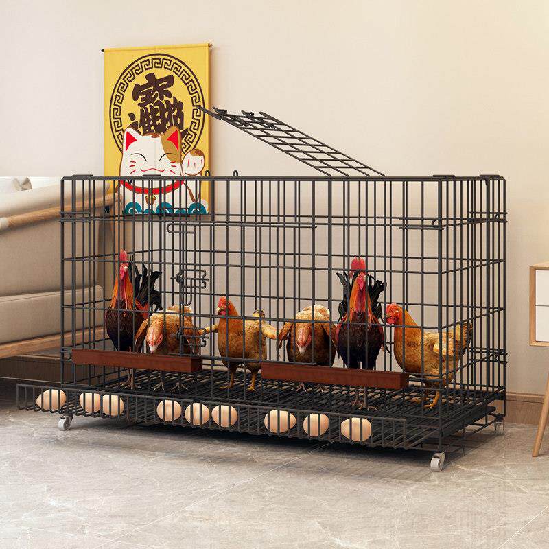 鸡笼子家用养鸡笼大号特大号自动清粪折叠养殖笼鸡舍铁丝网鸭狗笼