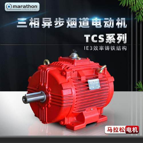 Marathon马拉松电机TCS系列三相异步烟道高温电动机IE3铸铁卧式