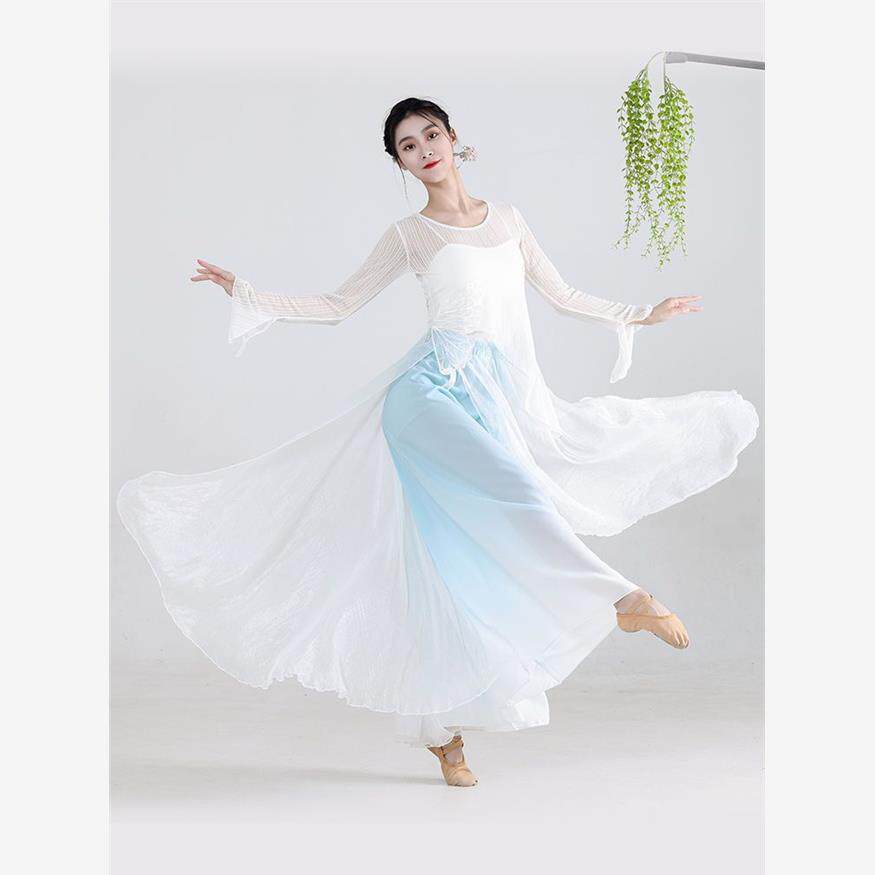 古典舞纱衣身韵服网纱衣服中国舞演出服女飘逸基训舞蹈练功服夏天