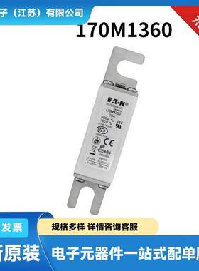 170M7499 170M7500 170M7507 170M7510原厂快速熔断器 保险丝