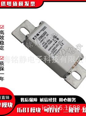 170M1861 170M1862 170M1863 170M1864 170M1865 熔断器型号齐全