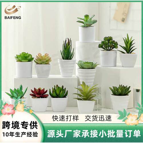 仿真多肉盆栽家居装饰仿真道具盆栽创意迷你植物咖啡厅办公区盆栽