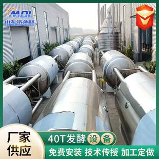 酿造设备精酿啤酒设备厂家黑黄白啤设备精酿啤酒发酵罐