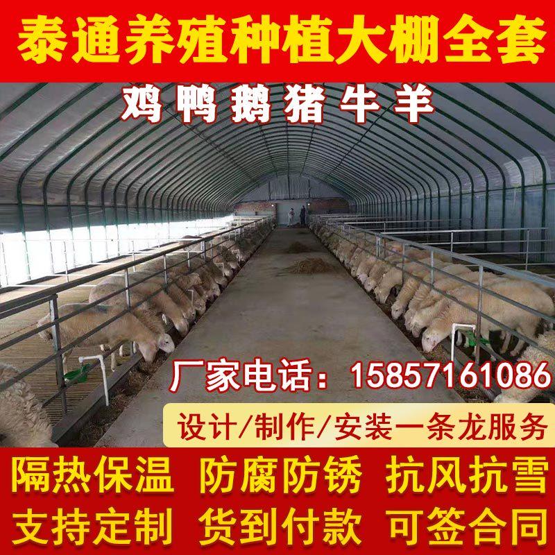 养殖大棚骨架钢管牛棚羊圈猪舍鹅兔养鸡场椭圆管温室种植大棚全套