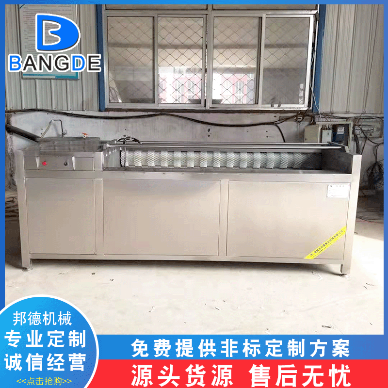 供应商用毛辊清洗机 生姜土豆清洗去皮机 大型莲藕去泥清洗机厂家