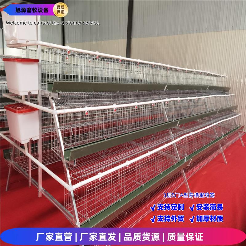 养鸡笼三层五门阶梯蛋鸡笼A型笼冷镀锌/热镀锌工艺养殖设备