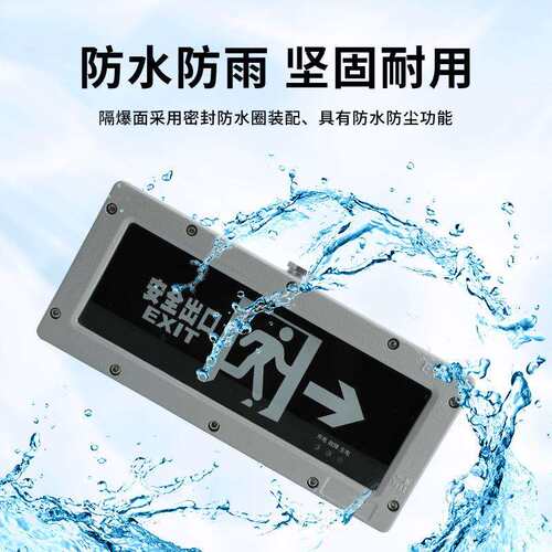 HR-BLZD-I 1LROE4W-BAYD82防爆标志灯灯 双向安全出口疏散指示灯