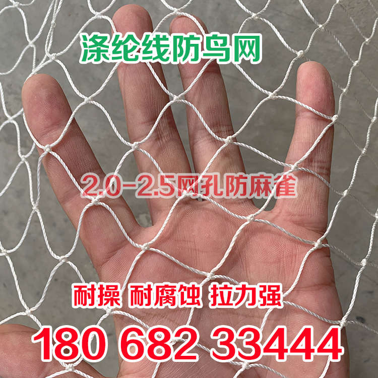 涤纶线防鸟网草莓大棚果树樱桃葡萄果园防鸟用鱼塘牛蛙轮胎线天网