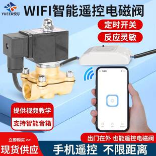 遥控电磁阀水阀220V智慧型手机wifi无线远程控制自动浇水开关铜阀