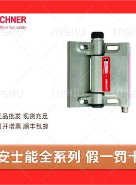 现货106548 ESH-ARO-20A-1205ESH可调整安全铰链 安全开关