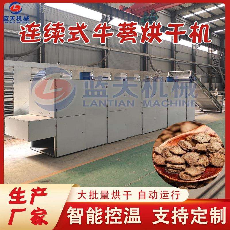 大型牛蒡烘干机 全自动牛蒡子清洗切片烘干线 连续式牛蒡烘干设备