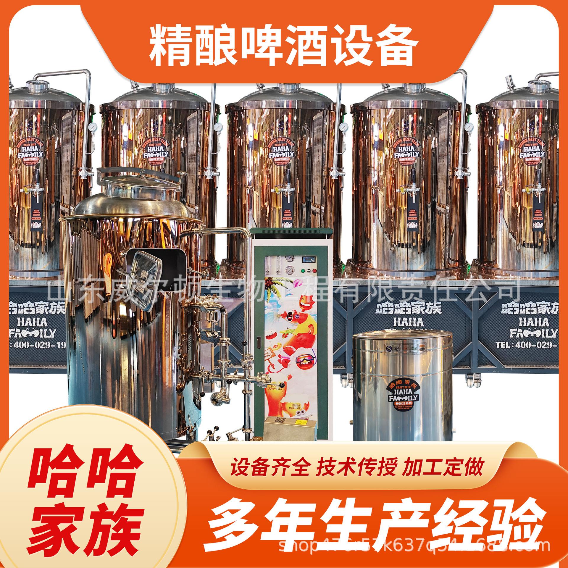 啤酒酿造设备小型精酿啤酒厂家直供上门安装调试屋自酿立式锥底