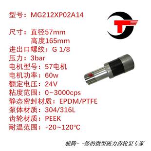 MG212XP02A14磁力泵齿轮无脉冲精准计量耐酸碱耐腐无泄漏不锈钢