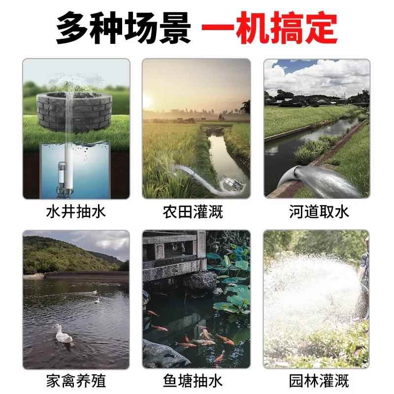 无刷直流潜水泵48v60v72v电动车电瓶车专用抽水泵浇菜农用灌溉机