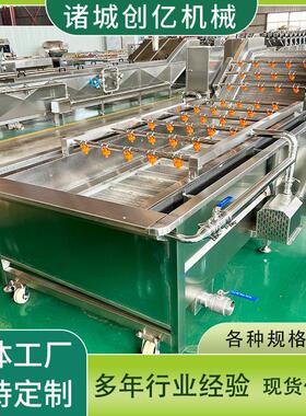 净菜加工清洗机水触媒清洗流水线食品外包装袋清洗机
