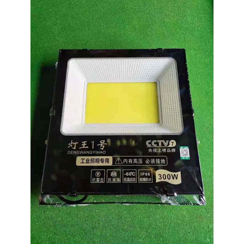 飞兔灯王一号LED投光灯超亮户外防水50W100W150W200W300W400W超亮