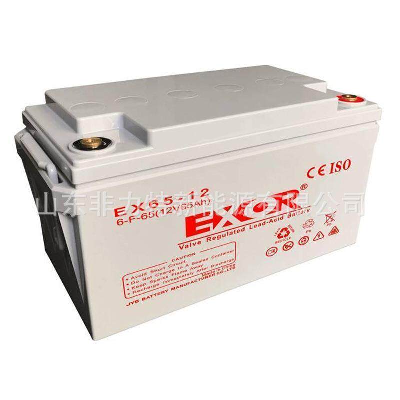 埃索蓄电池EX55-12储能电瓶12V55AH电力系统备用电源