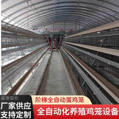 A型蛋鸡笼热镀锌全自动机化清粪养鸡设备三层四层阶梯式蛋鸡笼