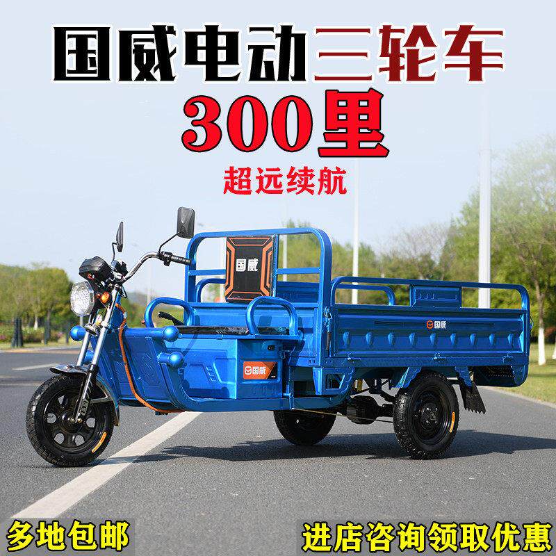 国威品牌做生意电动三轮车载重王拉货农用快递电动三轮车摆摊专用