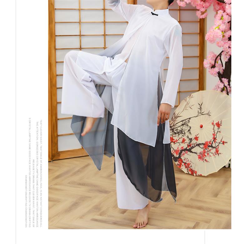 高档新中款古典舞国风演出飘男女款服逸水墨色再别康桥书生表演舞