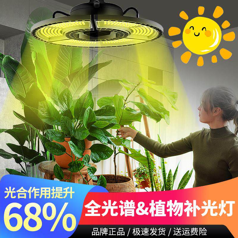 LED植物生长补光灯全光谱红蓝太阳光多肉月季绣球育苗上色防徒长