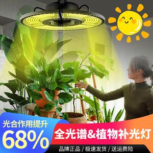 LED植物生长补光灯全光谱红蓝太阳光多肉月季绣球育苗上色防徒长