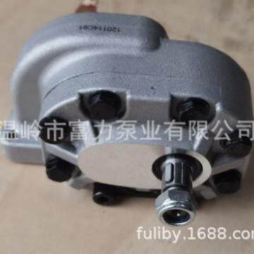 液压泵120114C911949302C1适用于786886986106610861486