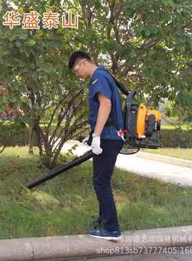雪华盛E-650吹风机背负式B风力灭力火机大棚吹机工地除ZUT尘风清