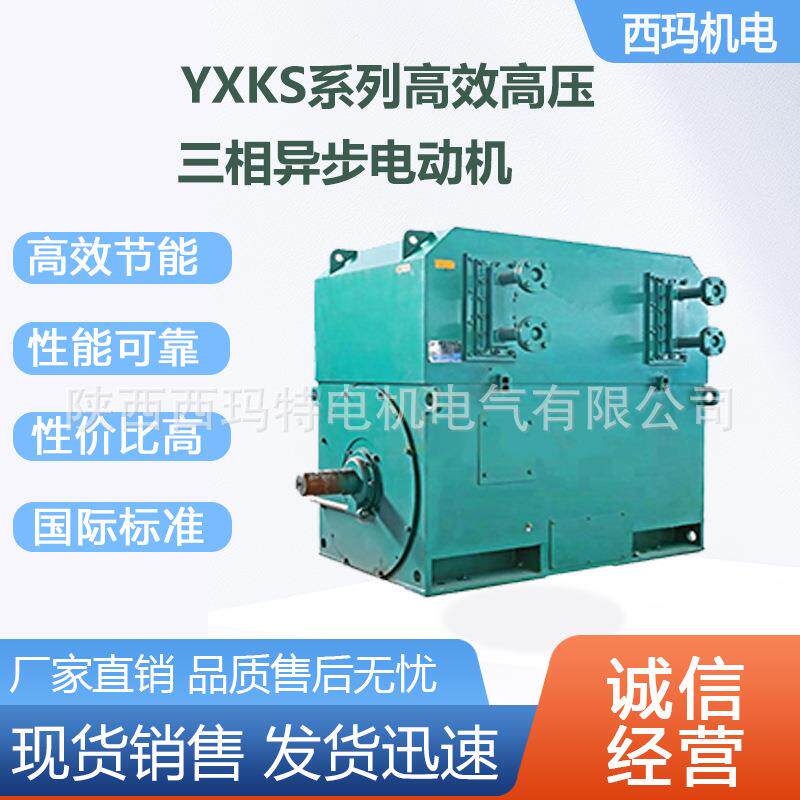 西安电机YXS-4001-6极315W6V高压鼠笼型三相异步电动机厂
