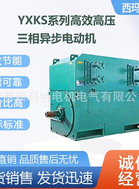 西安电机YXKS-4001-6极15KW6KV高压鼠笼型三相异步电动机厂