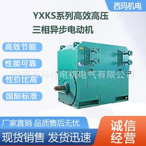 西安西玛电机YXKS355-4极355KW10KV大外圆高压交流三相异步电动机