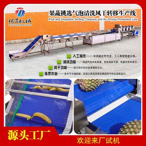 人工操作台气泡清洗机风干果蔬气泡清洗风干生产线水果加工
